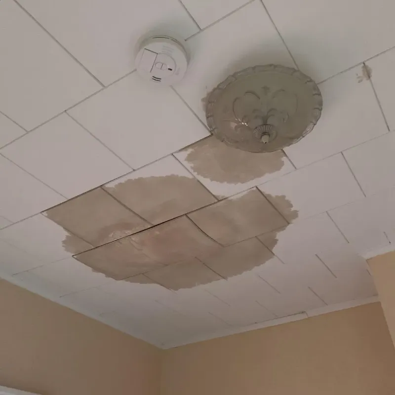 Ceiling Water Damage Repair in Tchula, MS