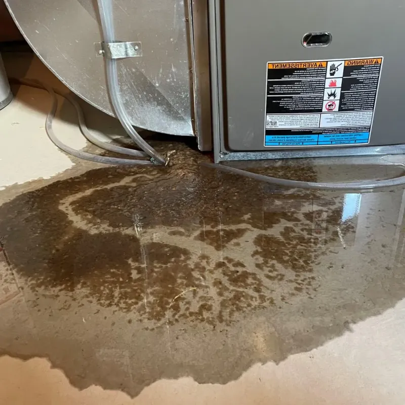 Pipe Burst and Leak Restoration in Tchula, MS