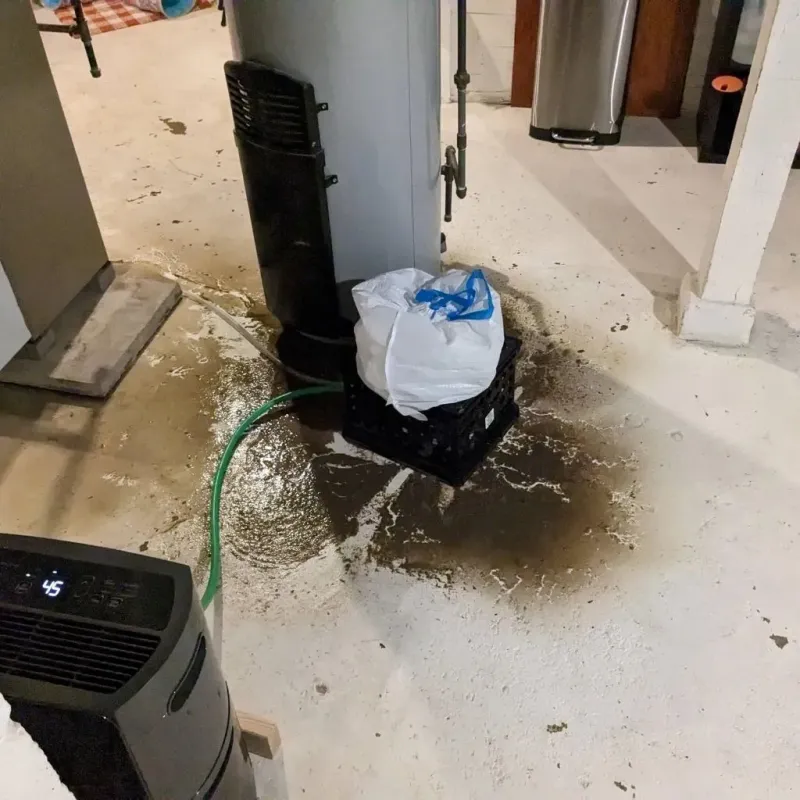 Sewage Backup Cleanup Service in Tchula, MS